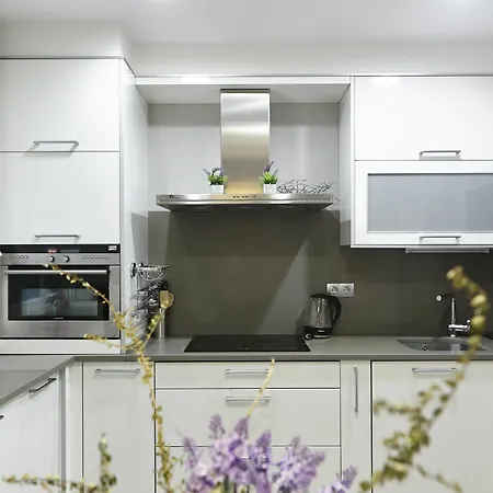 Basque Homes - Buen Pastor Daire *